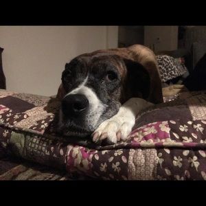 Meet your Posher, Dayna